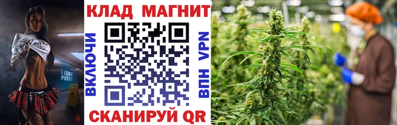 Наркошоп купить Амфетамин  Псилоцибиновые грибы  Alpha-PVP  Меф мяу мяу  ГАШИШ  Конопля  Карабаново