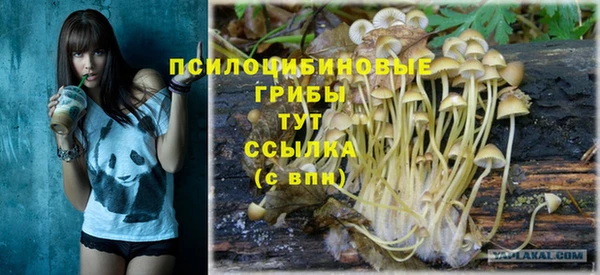 бошки Волосово