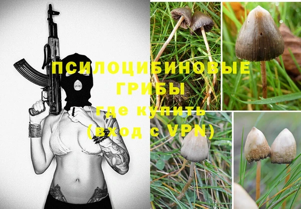 бошки Волосово